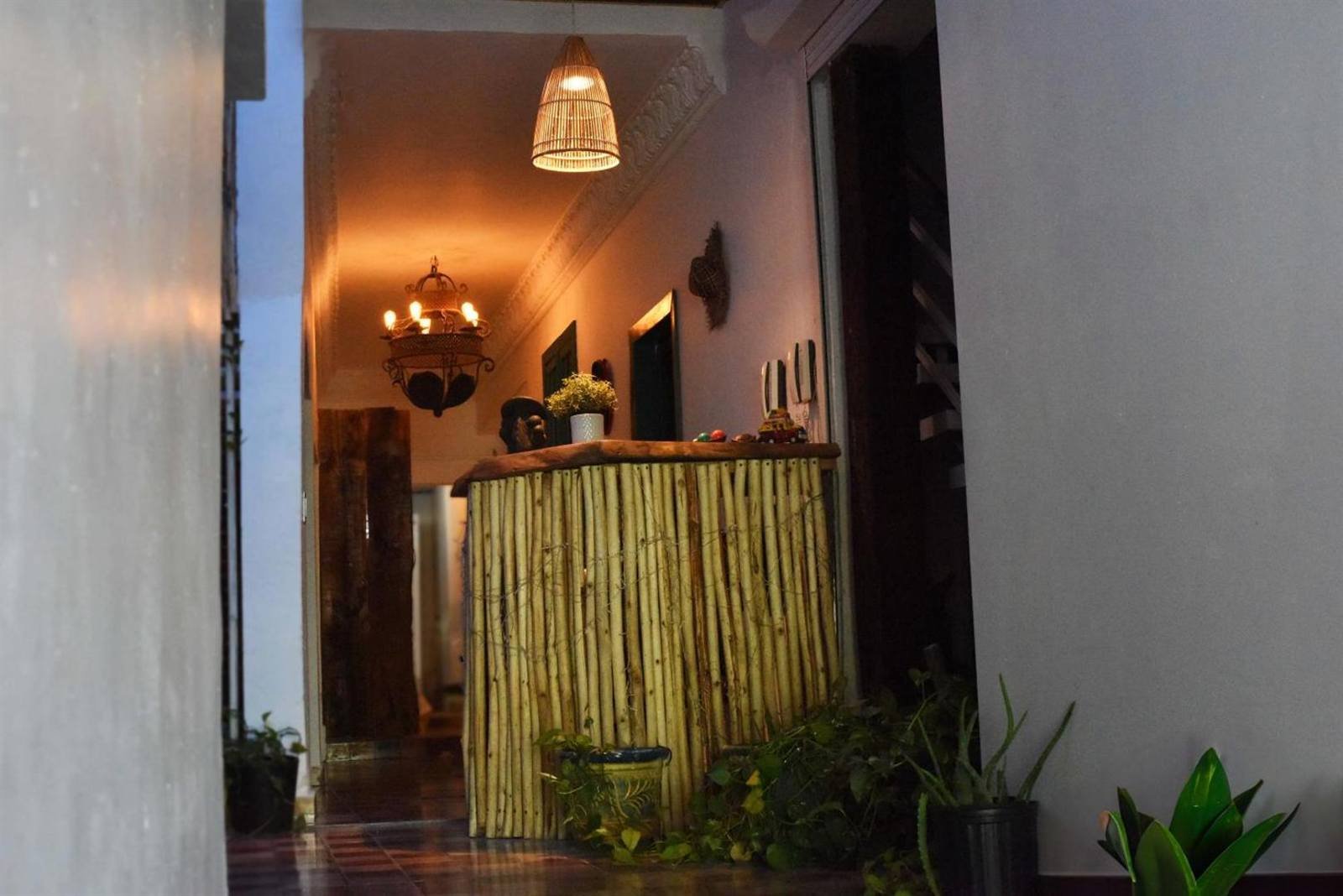 Gato Colonial: reception corridor with warm lighting and local artwork